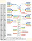 Cards Plant theory - map, 